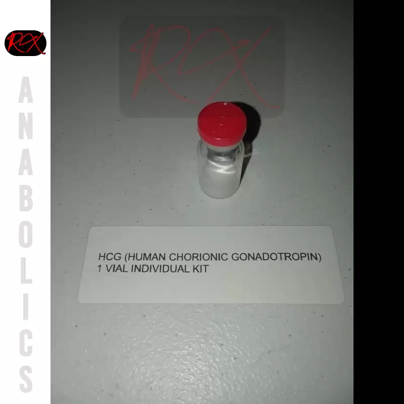 Human Chorionic Gonadotropin (HCG) - Image 3